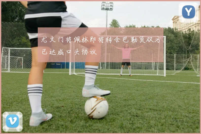 尤文门将佩林即将转会巴勒莫双方已达成口头协议